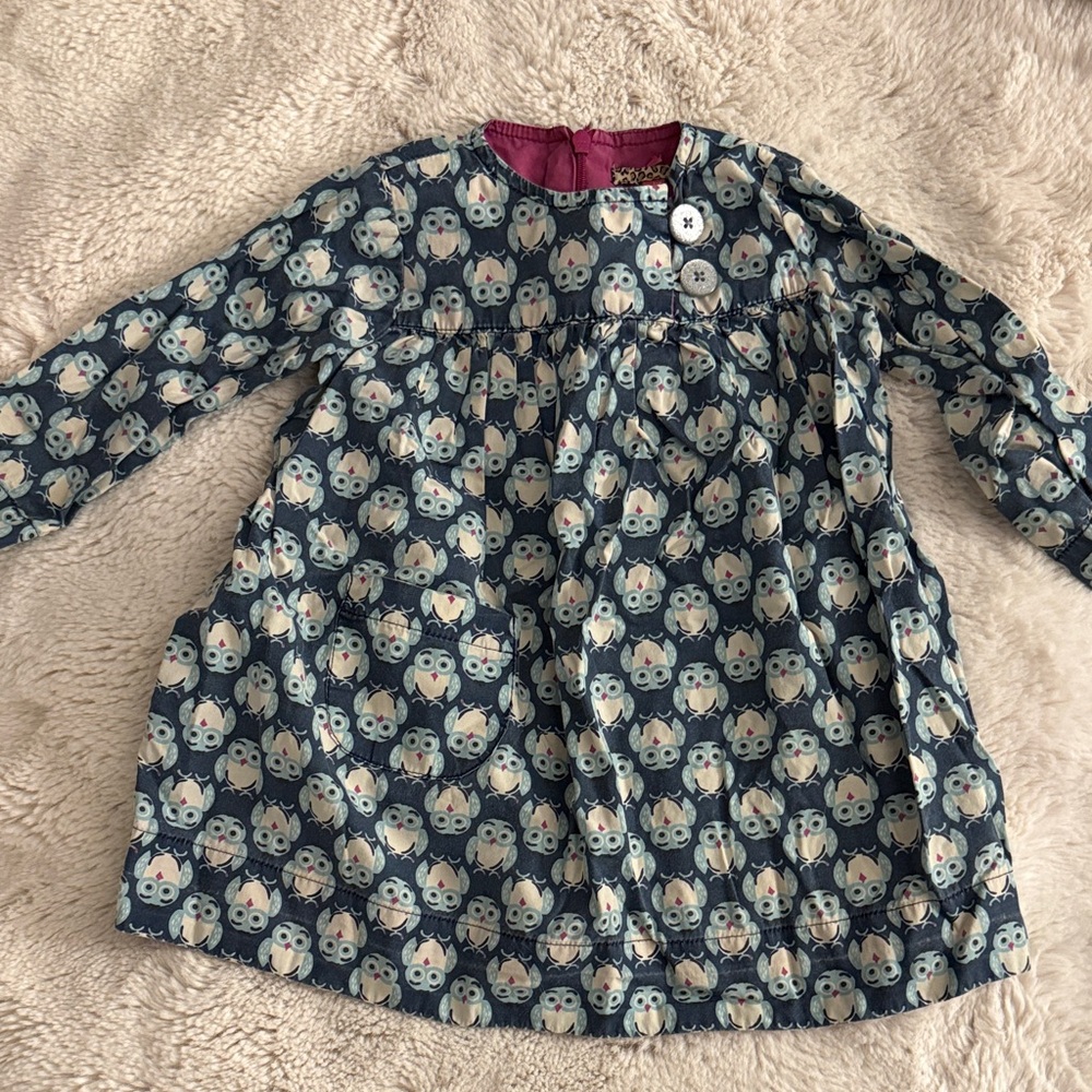 Pink Chicken Adorable Owl Print Dress